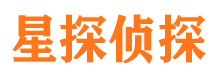 港口侦探公司